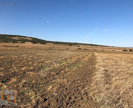 BAŞKAN EMLAKTAN SATILIK NEMLİ KÖYÜNDE 11.550 M2 VERİMLİ TARLA